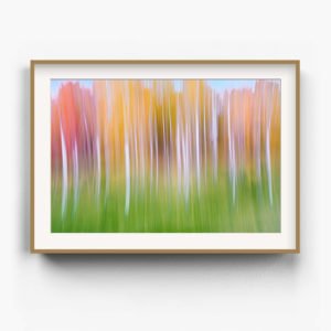 Framed Art Print of the colours of New England
