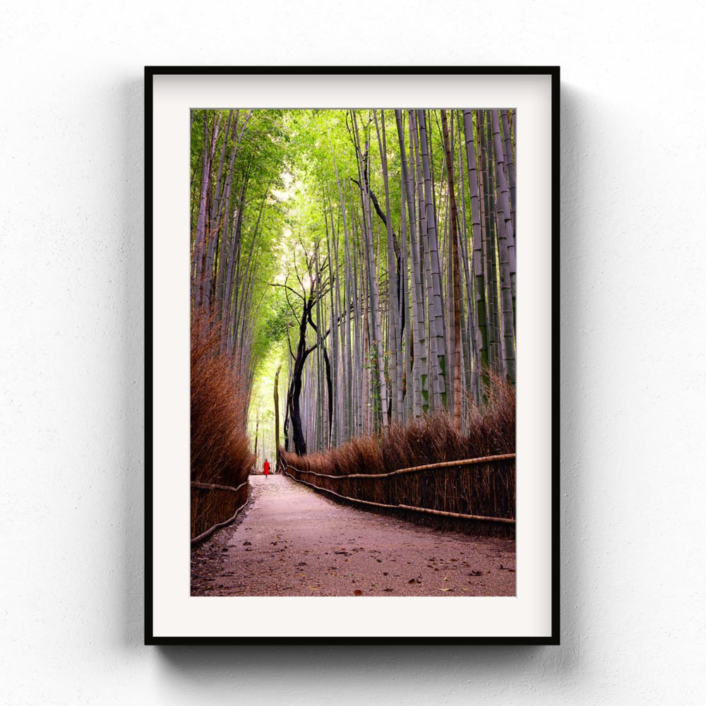 Framed Art Print of Arashiyama Bamboo Grove