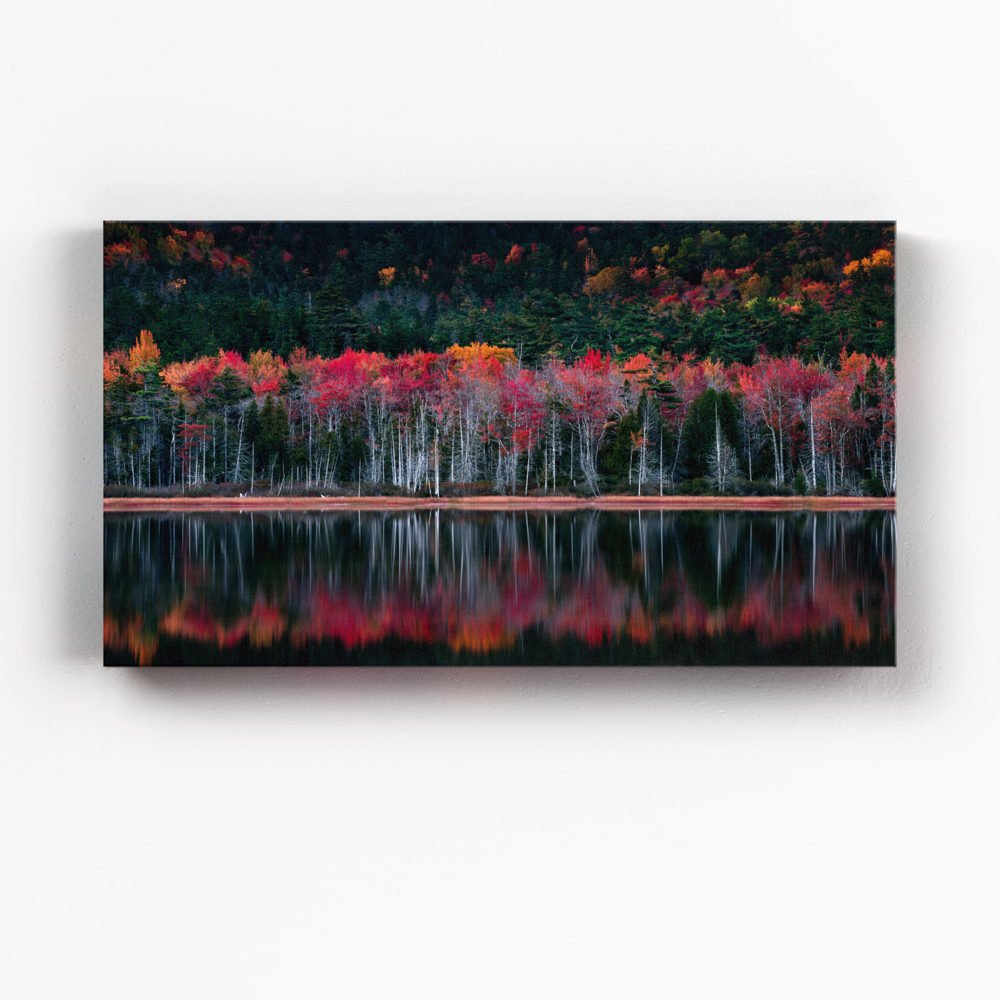 Canvas print of Amazing colours in Acadia National Park at the peak of fall