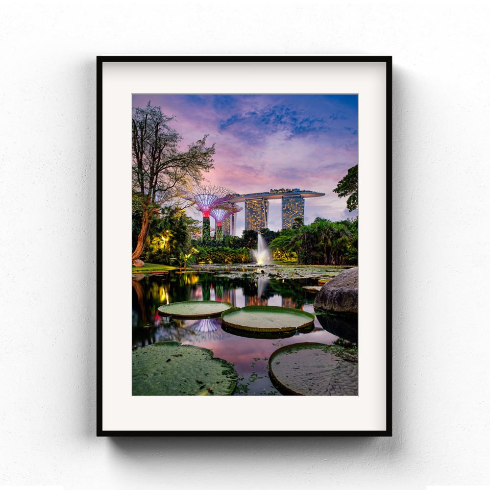 Framed Art Print of Singapore’s Gardens by the Bay Water Lily Pond